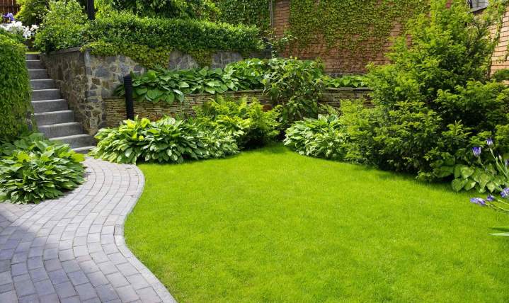 Aménagement jardin Montbéliard